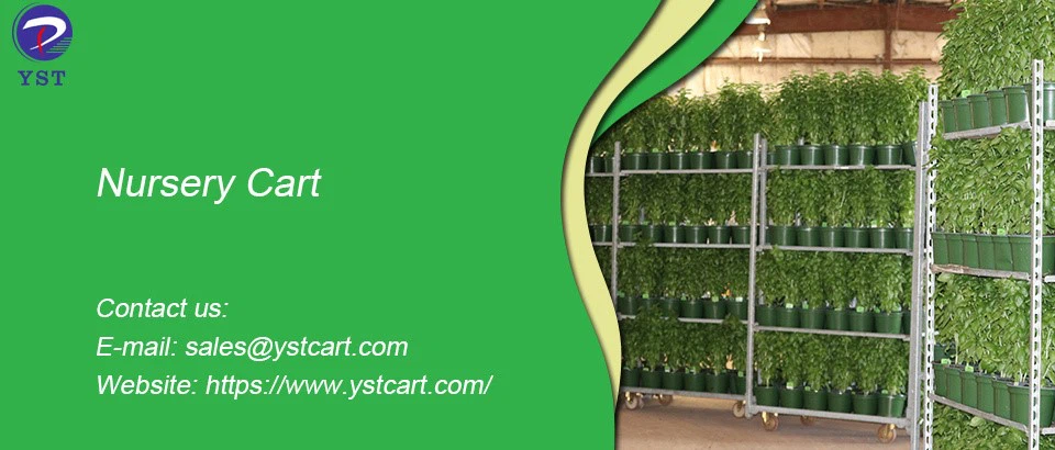 Nursery Cart-3 Nursery Cart-3