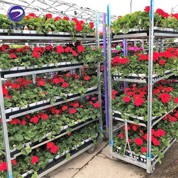 Mesh Wire Flower Rack