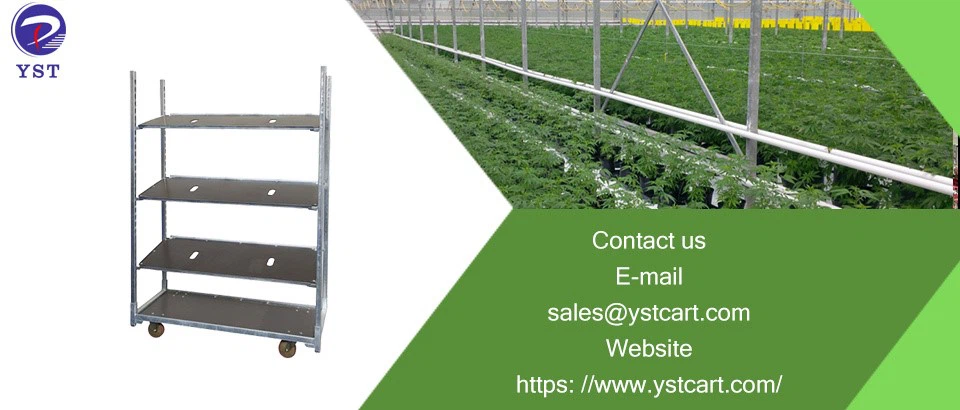 Danish Trolleys-8 Danish Trolleys-8