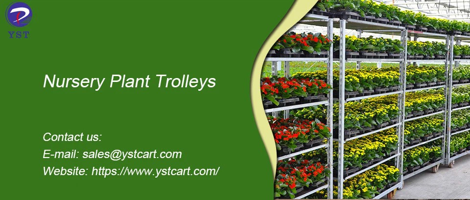 Nursery plant trolleys-9 Nursery plant trolleys-9
