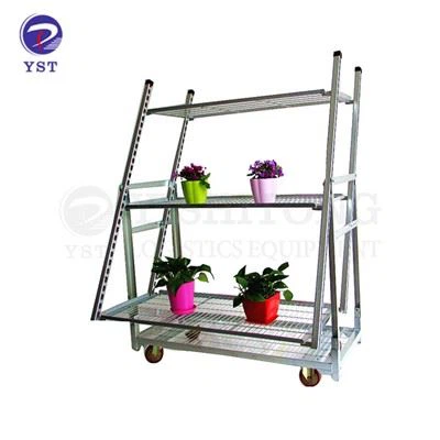 Cărucioare de la Green House