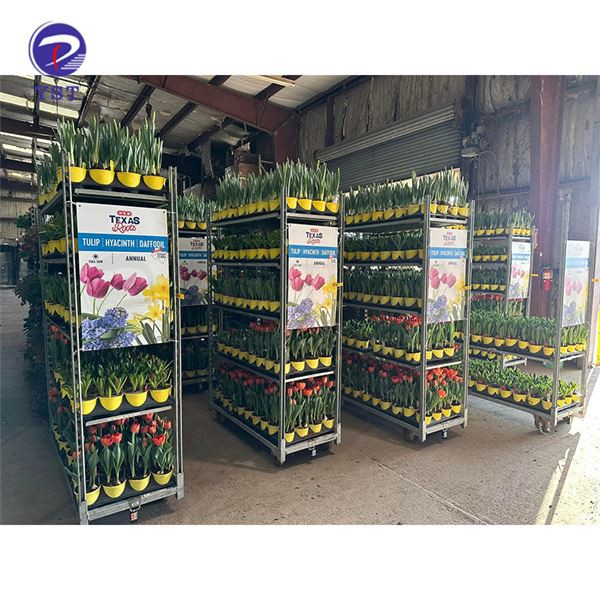 Cărucioare cu plante cu efect de seră