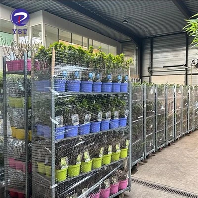 Rafturi pentru plante cu efect de seră