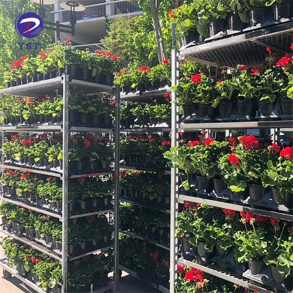 Trolley Cart For Flower