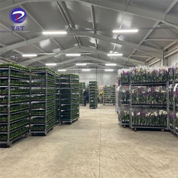 Trolley Cart For Flower