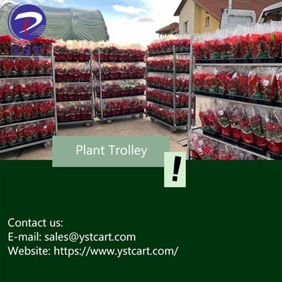 O introducere în cărucioarele de plante și rolul lor în operațiunile de pepin...