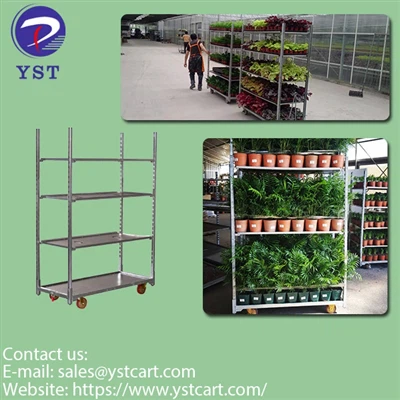 Cum pot cărucioarele daneze să îmbunătățească logistica horticulturii?
