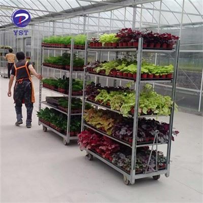 Cărucior de transport plante de pepinieră